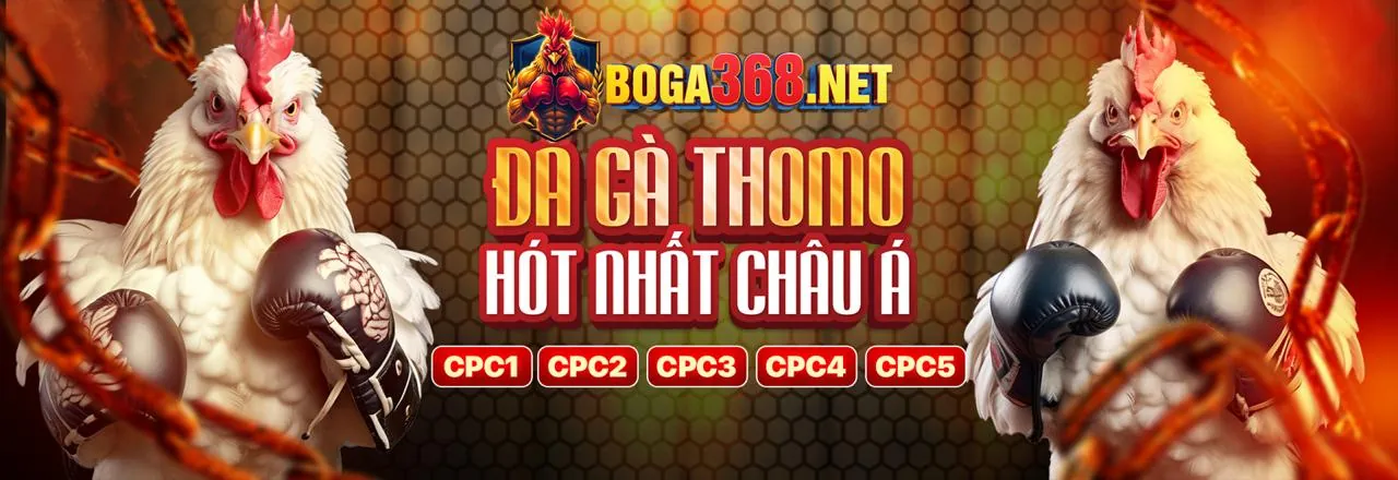 Đá Gà Trực Tuyến SHBET80